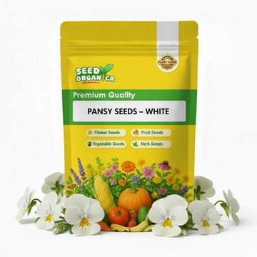 Pansy Seeds – White
