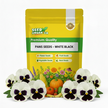 Pansy Seeds – White Black
