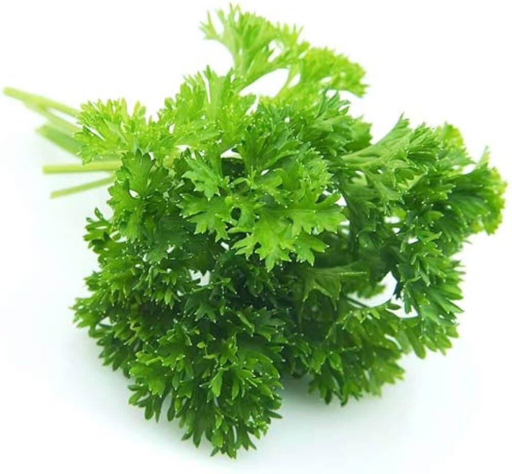 Parsley Seeds – Laika