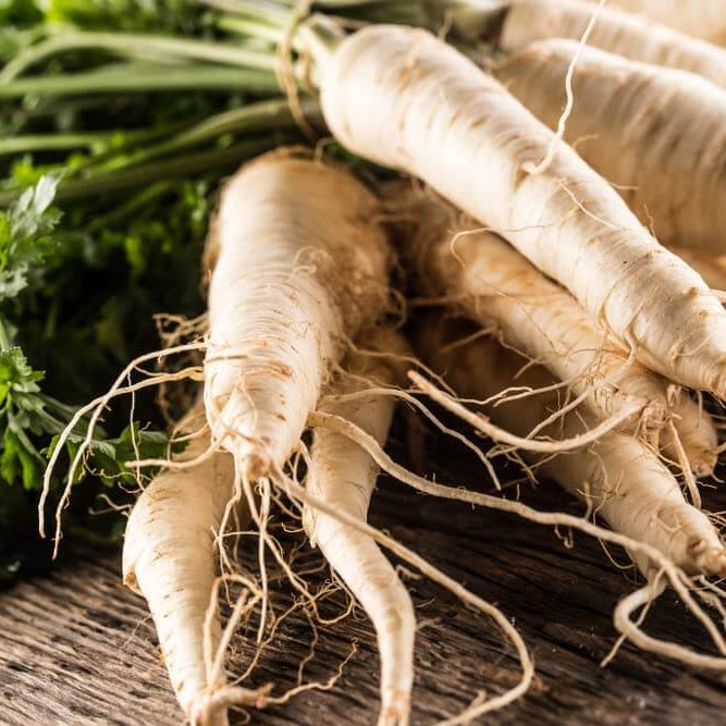 Parsnip Seeds – Harris