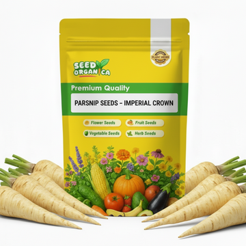Parsnip Seeds – Imperial Crown