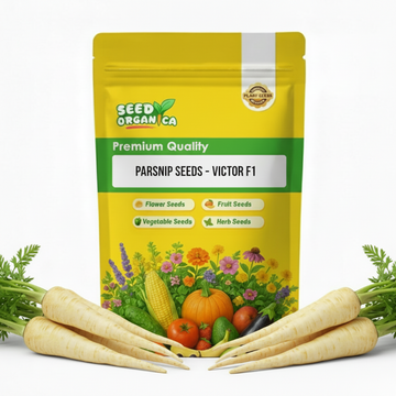 Parsnip Seeds – Victor F1
