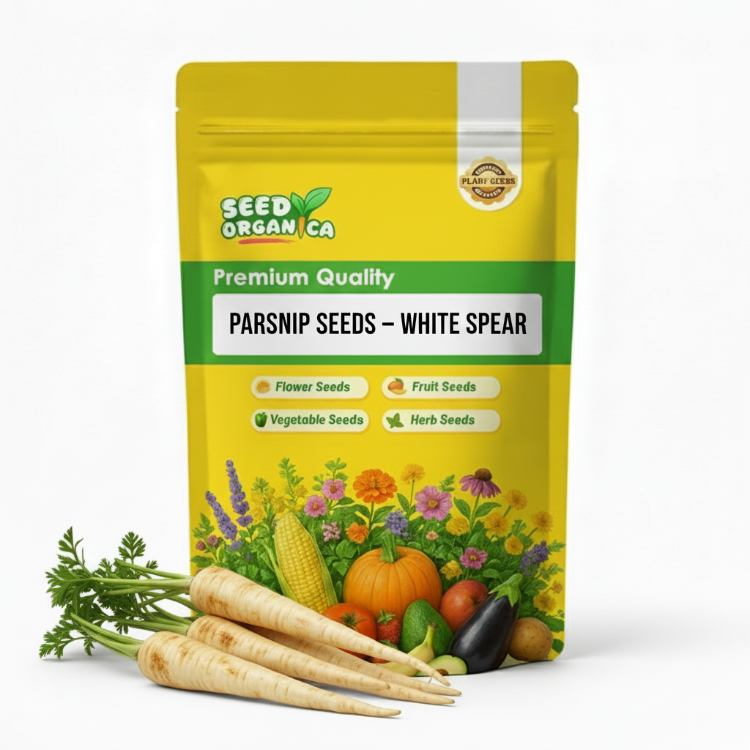 Parsnip Seeds – White Spear