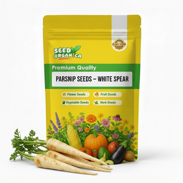 Parsnip Seeds – White Spear