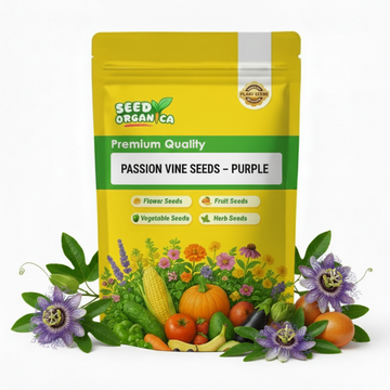 Passion Vine Seeds – Purple