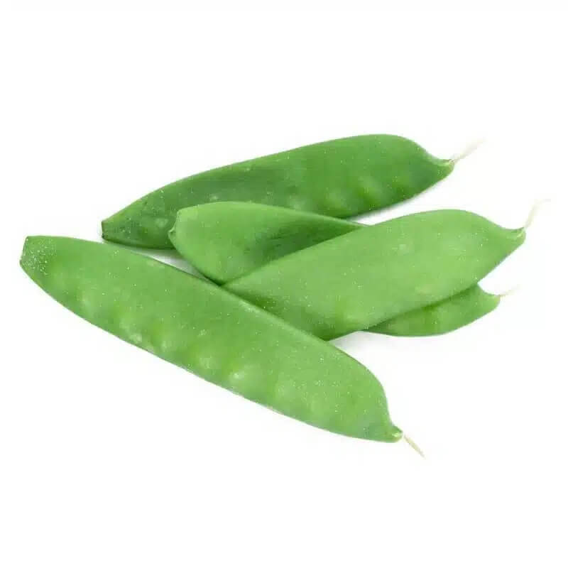 Pea Seeds – Oregon Sugar