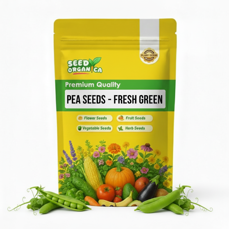 Pea Seeds – Fresh Green