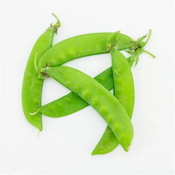 Pea Seeds – Snow