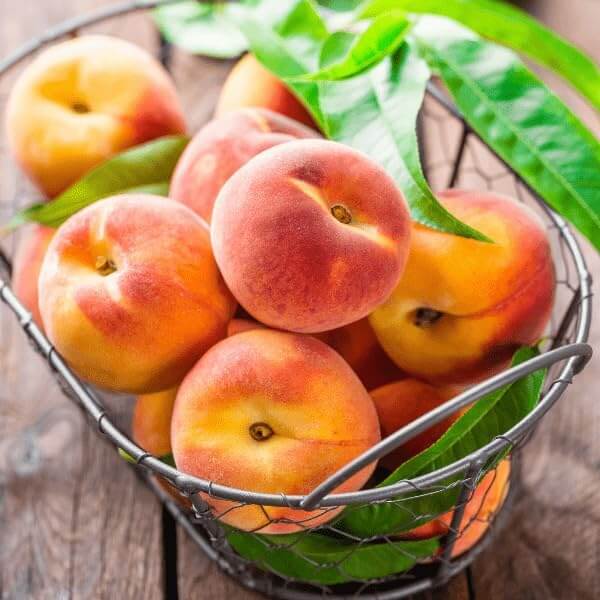 Peach Seeds – Nemaguard