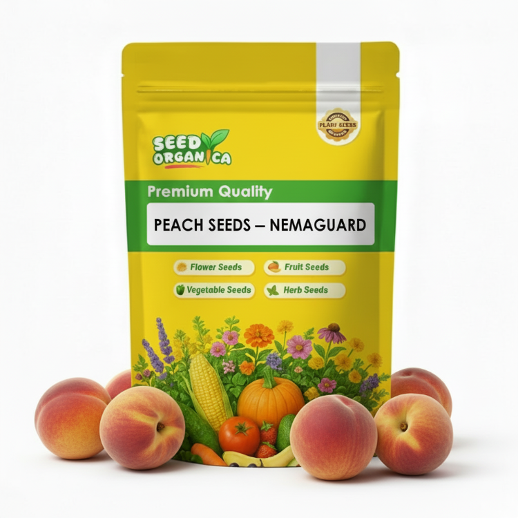 Peach Seeds – Nemaguard