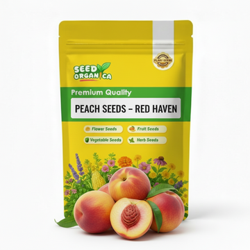 Peach Seeds – Red Haven