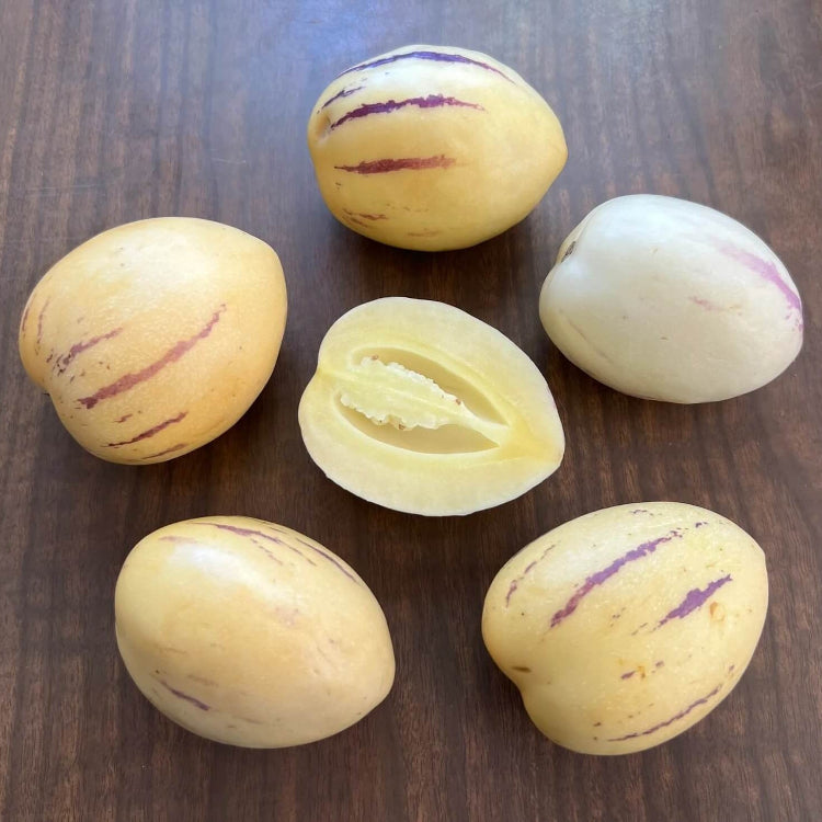 Pepino Seeds – Melon Pear