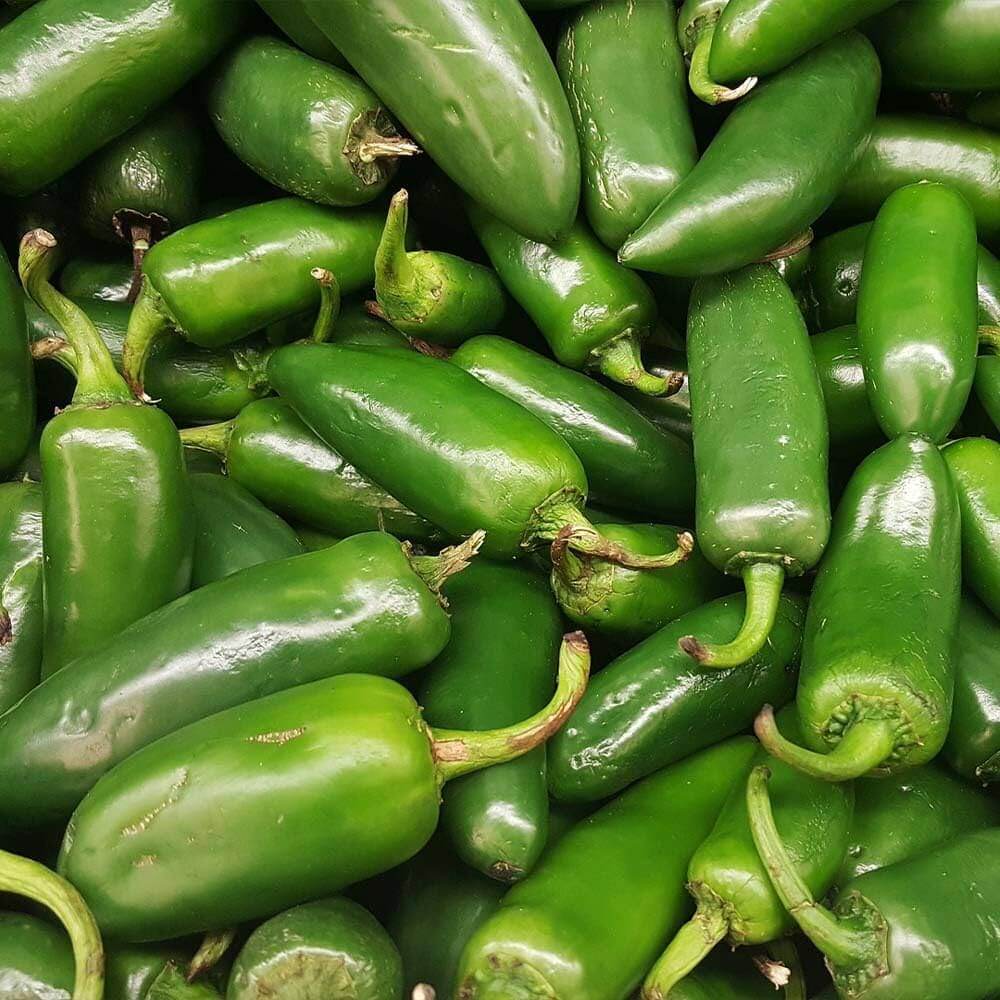 Pepper Seeds - Jumbo Jalapeno