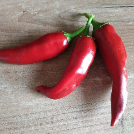  Pepper Seeds - Red Kalocsa