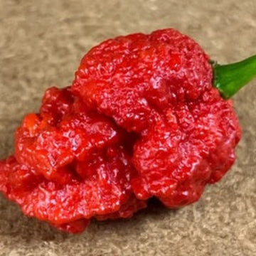Pepper Seeds – Hurt Berry