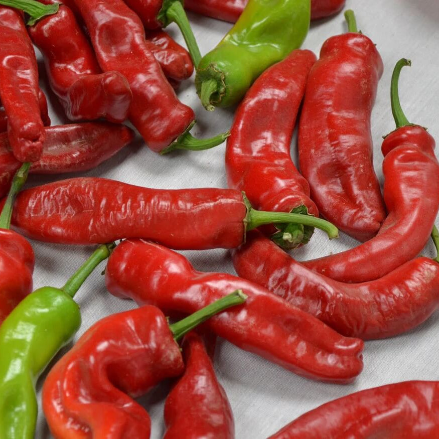 Pepper Seeds – Melrose