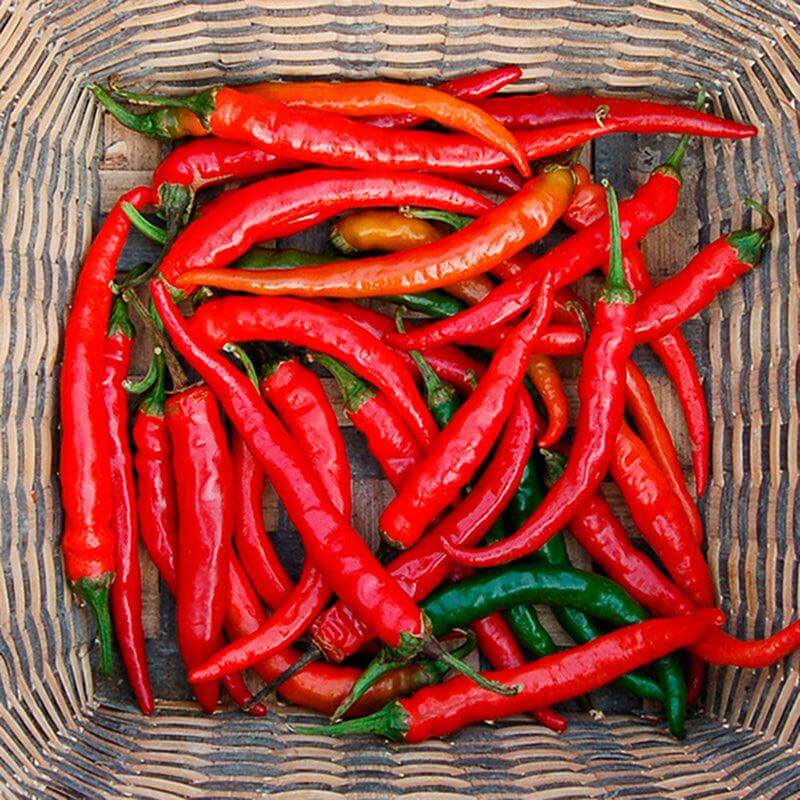 Pepper Seeds - Cayenne