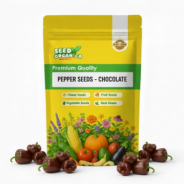 Pepper Seeds - Chocolate