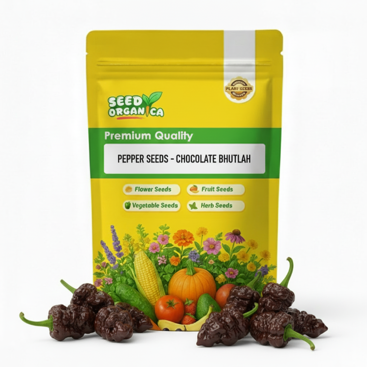 Pepper Seeds - Chocolate Bhutlah