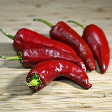 Pepper Seeds - D'Espelette
