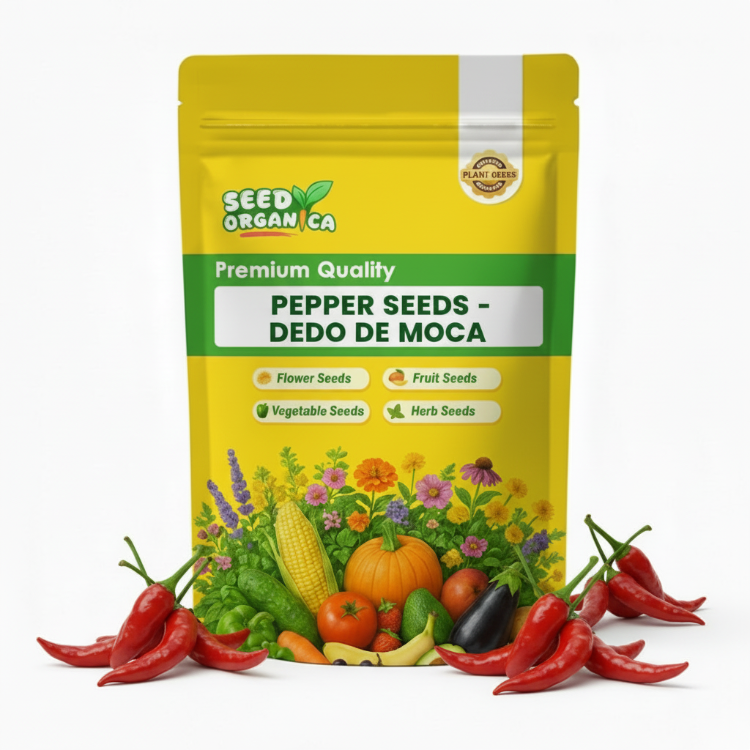 Pepper Seeds - Dedo de Moca