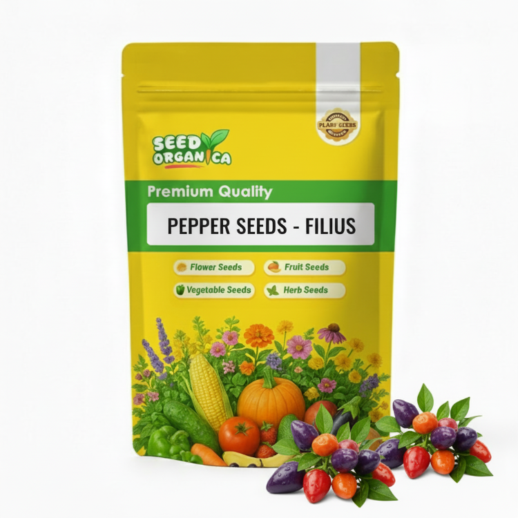Pepper Seeds - Filius