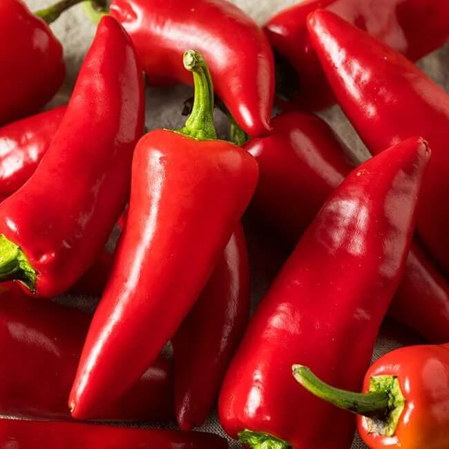  Pepper Seeds - Fresno