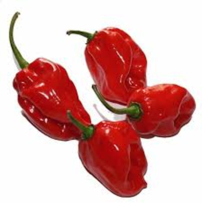 Pepper Seeds - Habanero