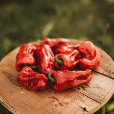 Pepper Seeds - Halaby