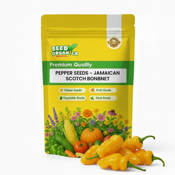 Pepper Seeds - Jamaican Scotch Bonnet