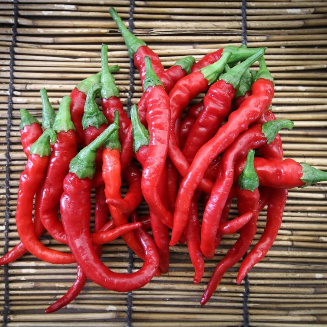 Pepper Seeds - Long