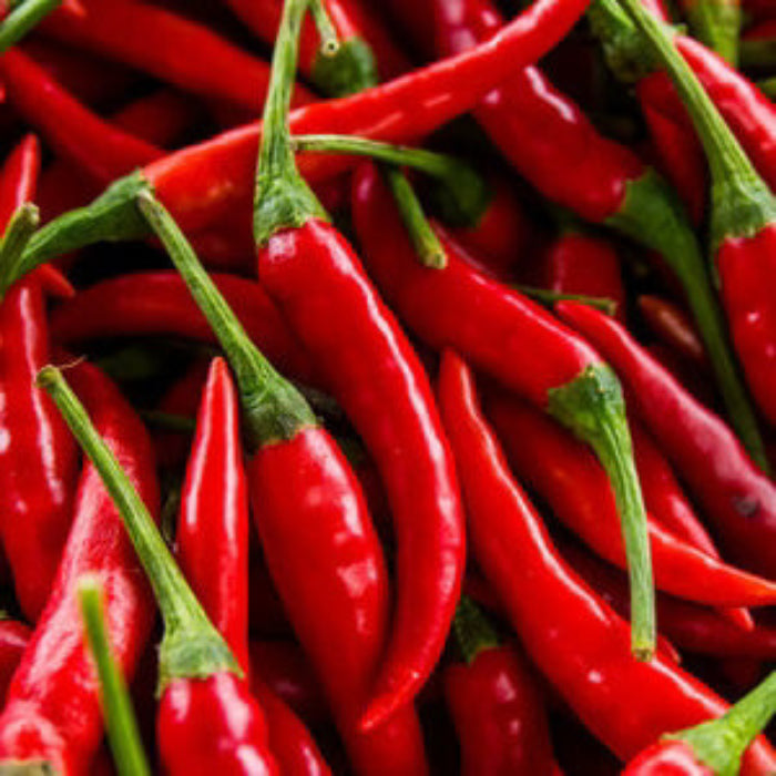 Pepper Seeds - Long