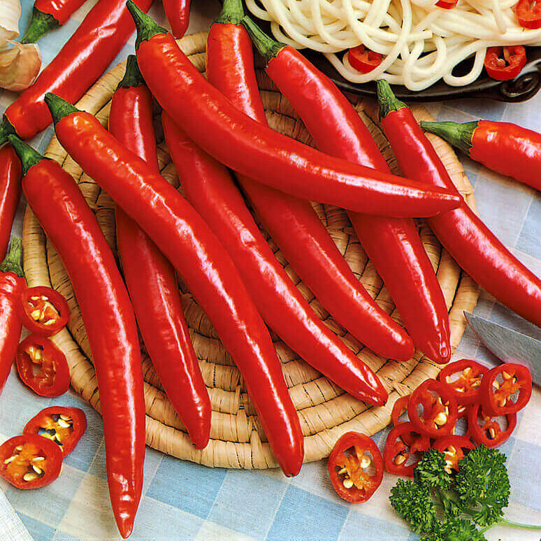 Pepper Seeds - Long