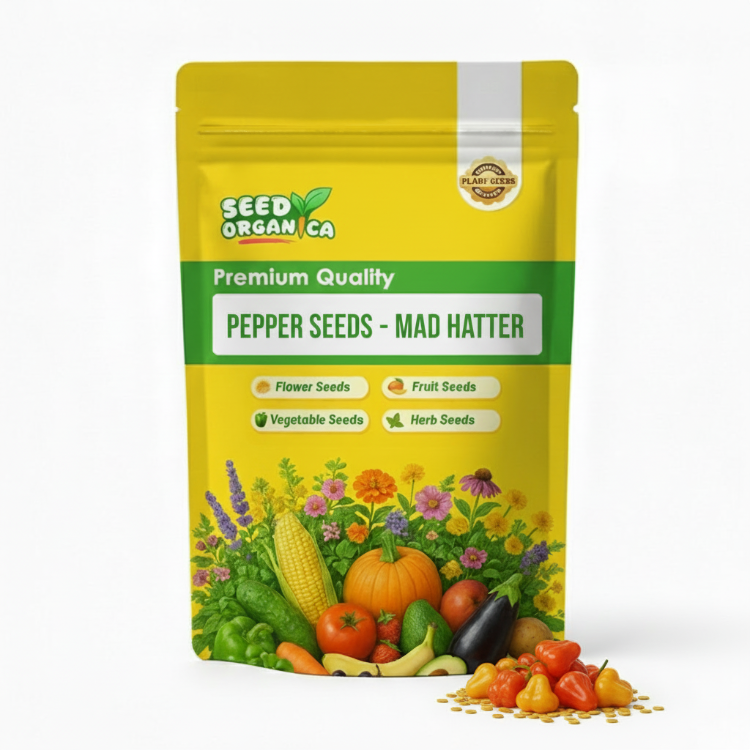 Pepper Seeds - Mad Hatter