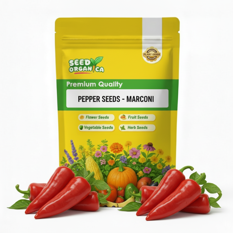 Pepper Seeds - Marconi