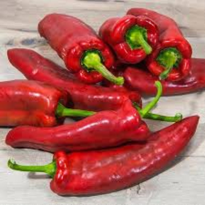  Pepper Seeds - Marconi