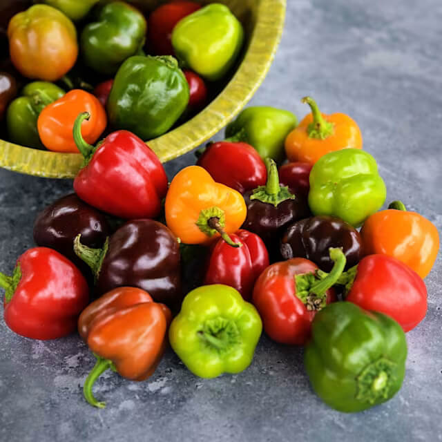 Pepper Seeds - Mini