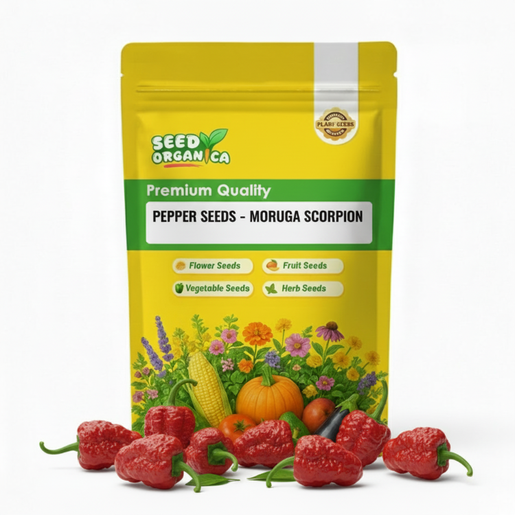 Pepper Seeds - Moruga Scorpion