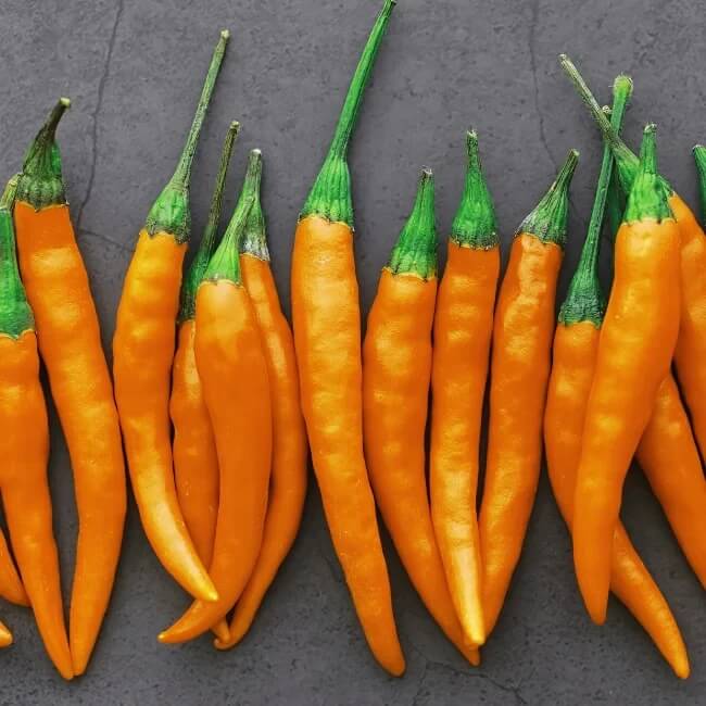 Pepper Seeds - Orange