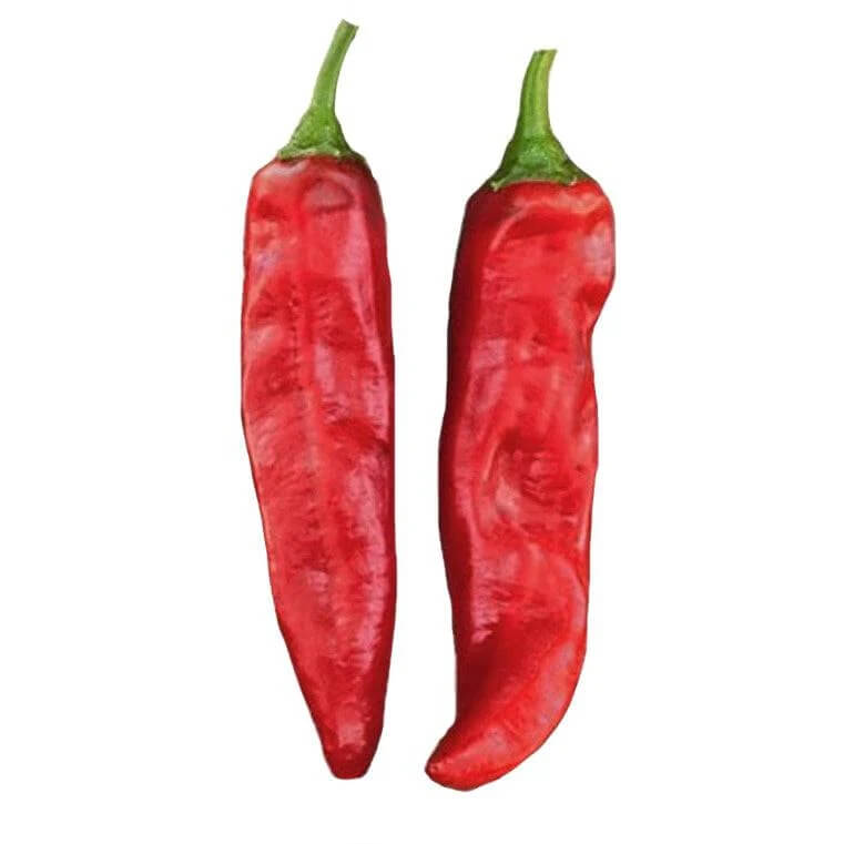  Pepper Seeds - Red Kalocsa