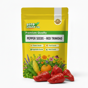 Pepper Seeds - Red Trinidad