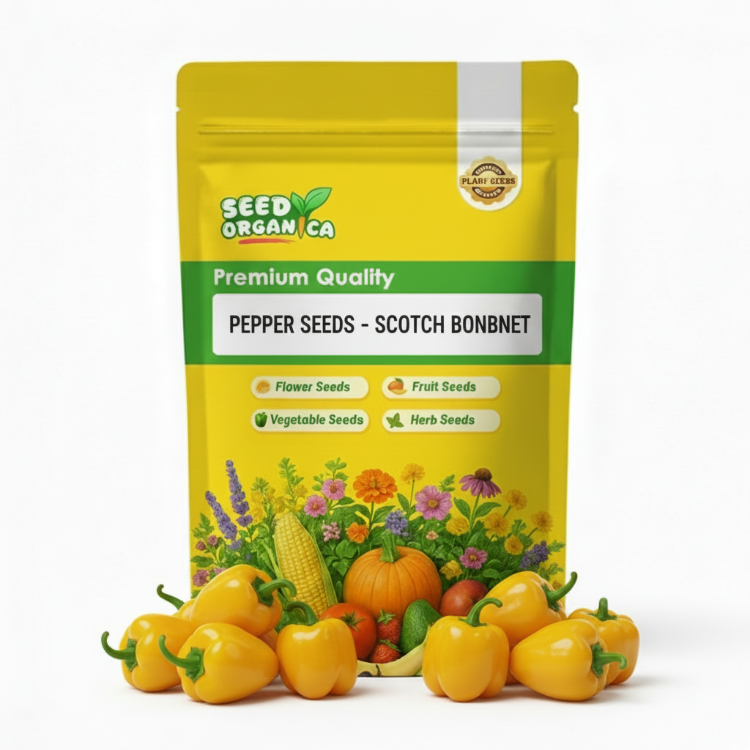 Pepper Seeds - Scotch Bonnet