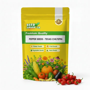 Pepper Seeds - Texas Chiltepin