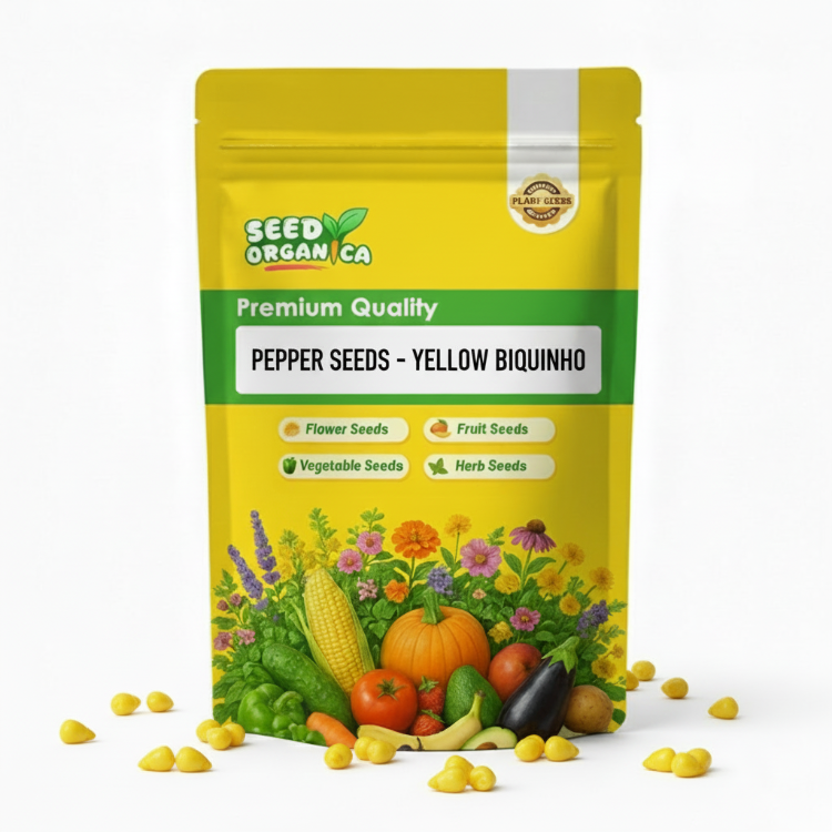 Pepper Seeds - Yellow Biquinho