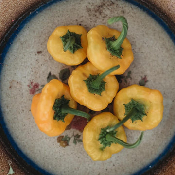 Pepper Seeds -  Yellow Jamaicano