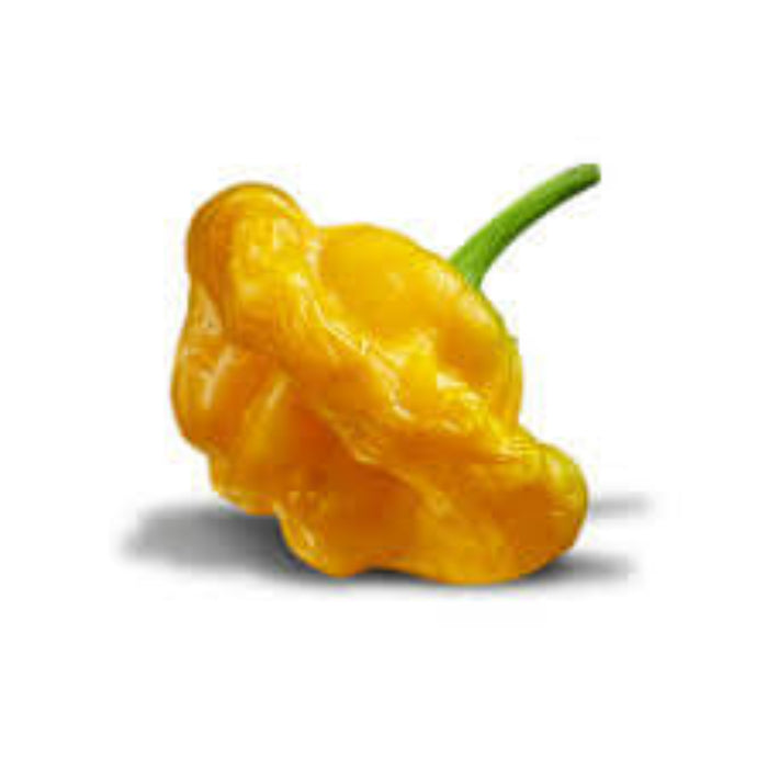 Pepper Seeds -  Yellow Jamaicano