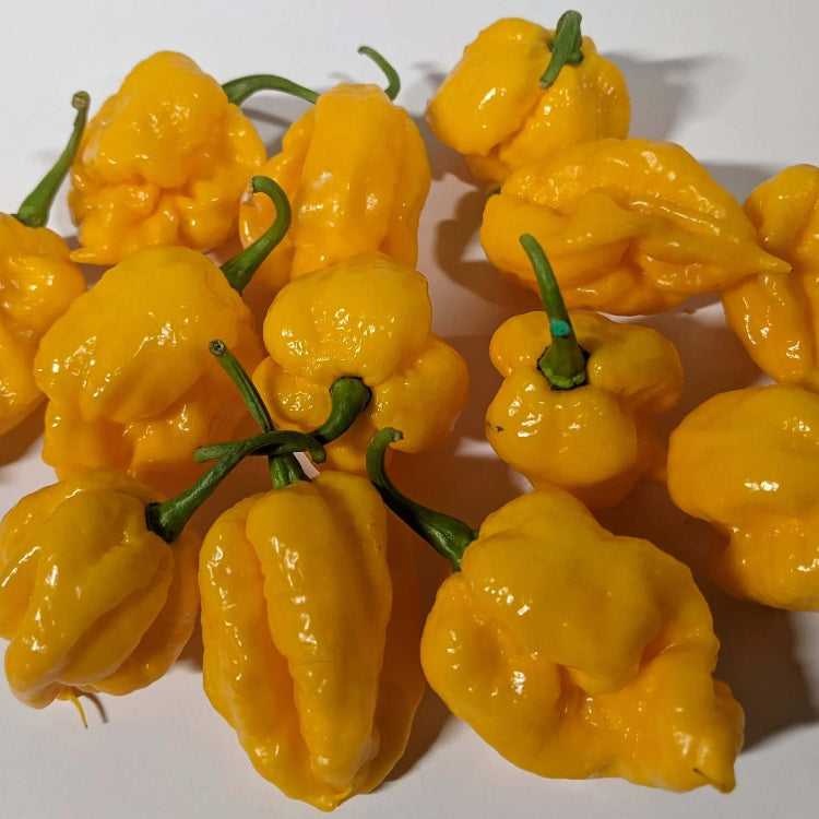 Pepper Seeds - Yellow Reaper