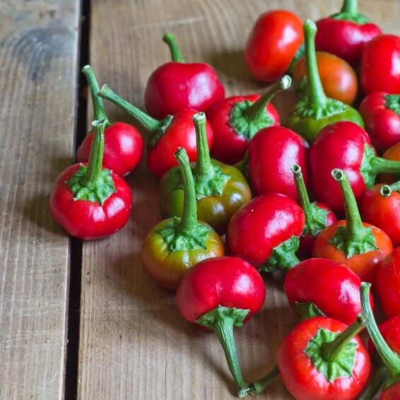 Pepper Seeds – Cherry Bomb 