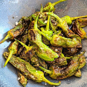 Pepper Seeds – Padron 