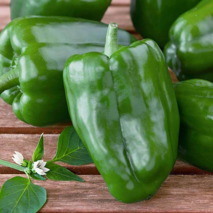 Pepper Seeds – Capsicum